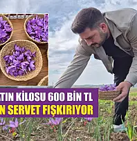 Bu baharatın kilosu 600 bin TL: Topraktan servet fışkırıyor
