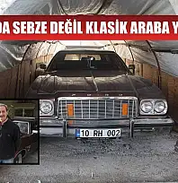 Bu serada sebze değil klasik araba yetişiyor