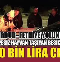 Burdur–Fethiye Yolunda Küpesiz Hayvan Taşıyan Besiciye 400 Bin Lira Ceza