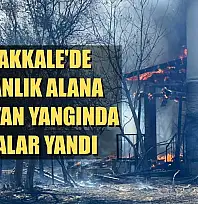 Çanakkale'de ormanlık alana sıçrayan yangında villalar yandı