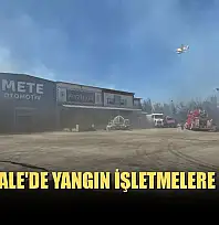 Çanakkale'de yangın işletmelere sıçradı