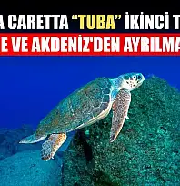 Caretta caretta 'Tuba' ikinci turunda Ege ve Akdeniz'den ayrılmadı