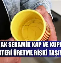 Çatlak seramik kap ve kupalar bakteri üretme riski taşıyor
