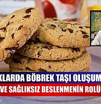 Çocuklarda böbrek taşı oluşumunda yanlış ve sağlıksız beslenmenin rolü büyük
