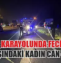 D-100 Karayolu'nda Feci Kaza: 75 Yaşındaki Kadın Can Verdi