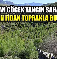 Dalaman Göcek Yangın Sahasında 450 Bin Fidan Toprakla Buluştu