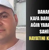 Dananın kafa darbesiyle ağır yaralanan sahibi hayatını kaybetti