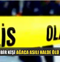 Datça'da bir kişi ağaca asılı halde ölü bulundu