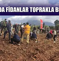 Datça'da fidanlar toprakla buluştu