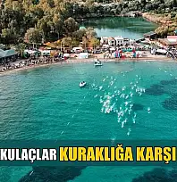 Datça'da kulaçlar kuraklığa karşı atılacak