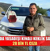 Datça'da Yasadışı Kınalı Keklik satışına 28 bin TL ceza