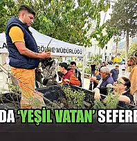 Datça'da 'Yeşil Vatan' seferberliği
