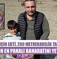Denemek için ekti, 250 metrekarelik tarlasında dünyanın en pahalı baharatını yetiştirdi