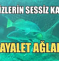 Denizlerin sessiz katili: Hayalet ağlar