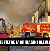 Denizli'de filtre fabrikasını alevler sardı