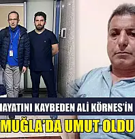 Denizli'de Hayatını Kaybeden Ali Körnes'in Organları Muğla'da Umut Oldu