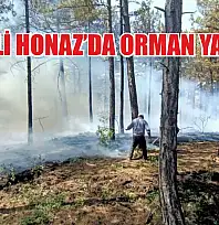 Denizli Honaz'da orman yangını