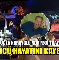 Denizli-Muğla Karayolu'nda Feci Trafik Kazası: Sürücü Hayatını Kaybetti