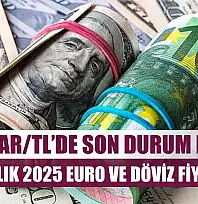 Dolar/TL'de son durum ne? 22 Aralık 2025 Euro ve döviz fiyatları