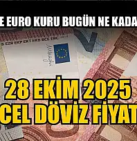 Dolar ve Euro kuru bugün ne kadar oldu?  28 Ekim 2025 güncel döviz fiyatları