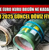 Dolar ve Euro kuru bugün ne kadar oldu?  29 Ekim 2025 güncel döviz fiyatları