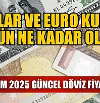 Dolar ve Euro kuru bugün ne kadar oldu?  31 Ekim 2025 güncel döviz fiyatları