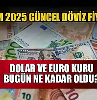 Dolar ve Euro kuru bugün ne kadar oldu?  4 Kasım 2025 güncel döviz fiyatları