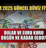 Dolar ve Euro kuru bugün ne kadar oldu?  4 Kasım 2025 güncel döviz fiyatları