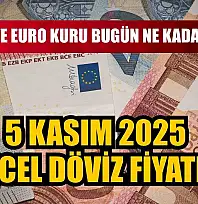 Dolar ve Euro kuru bugün ne kadar oldu?  5 Kasım 2025 güncel döviz fiyatları