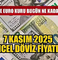 Dolar ve Euro kuru bugün ne kadar oldu?  7 Kasım 2025 güncel döviz fiyatları