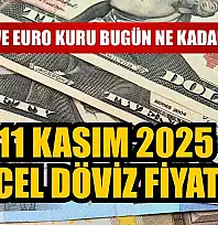 Dolar ve Euro kuru bugün ne kadar oldu?  11 Kasım 2025 güncel döviz fiyatları