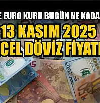 Dolar ve Euro kuru bugün ne kadar oldu?  13 Kasım 2025 güncel döviz fiyatları