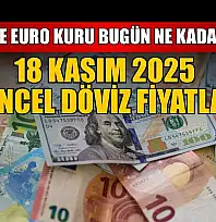 Dolar ve Euro kuru bugün ne kadar oldu?  18 Kasım 2025 güncel döviz fiyatları