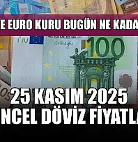 Dolar ve Euro kuru bugün ne kadar oldu?  25 Kasım 2025 güncel döviz fiyatları
