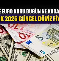 Dolar ve Euro kuru bugün ne kadar oldu?  2 Aralık 2025 güncel döviz fiyatları