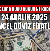 Dolar ve Euro kuru bugün ne kadar oldu?  24 Aralık 2025 güncel döviz fiyatları