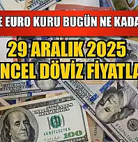 Dolar ve Euro kuru bugün ne kadar oldu?  29 Aralık 2025 güncel döviz fiyatları