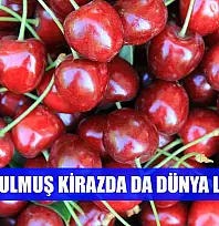 Dondurulmuş kirazda da dünya lideriyiz