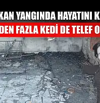 Evde çıkan yangında hayatını kaybetti, 20'den fazla kedi de telef oldu
