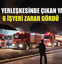 Fabrika yerleşkesinde çıkan yangında 6 işyeri zarar gördü