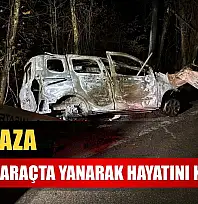 Feci kaza: Sürücü araçta yanarak hayatını kaybetti
