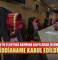 Ferdi Zeyrek'in elektrik akımına kapılarak ölümüne ilişkin iddianame kabul edildi