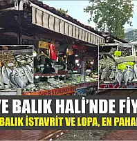 Fethiye Balık Hali'nde fiyatlar: En uygun balık istavrit ve lopa, en pahalı barbun