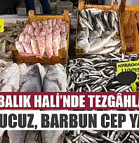 Fethiye Balık Hali'nde tezgâhlar dolu: Hamsi ucuz, Barbun cep yakıyor