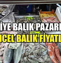 Fethiye Balık Pazarı'nda güncel balık fiyatları