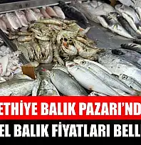 Fethiye Balık Pazarı'nda Güncel Balık Fiyatları Belli Oldu