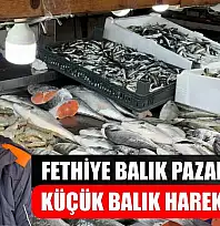 Fethiye Balık Pazarı'nda Küçük Balık Hareketliliği