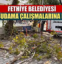 Fethiye Belediyesi Ağaç Budama Çalışmalarına Başladı