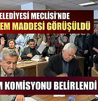 Fethiye Belediyesi Meclisi'nde 25 gündem maddesi görüşüldü, denetim komisyonu belirlendi