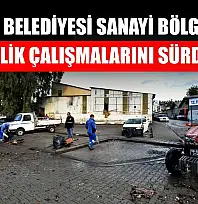 Fethiye Belediyesi Sanayi Bölgesi'nde Temizlik Çalışmalarını Sürdürdü